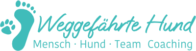 Weggefährte Hund